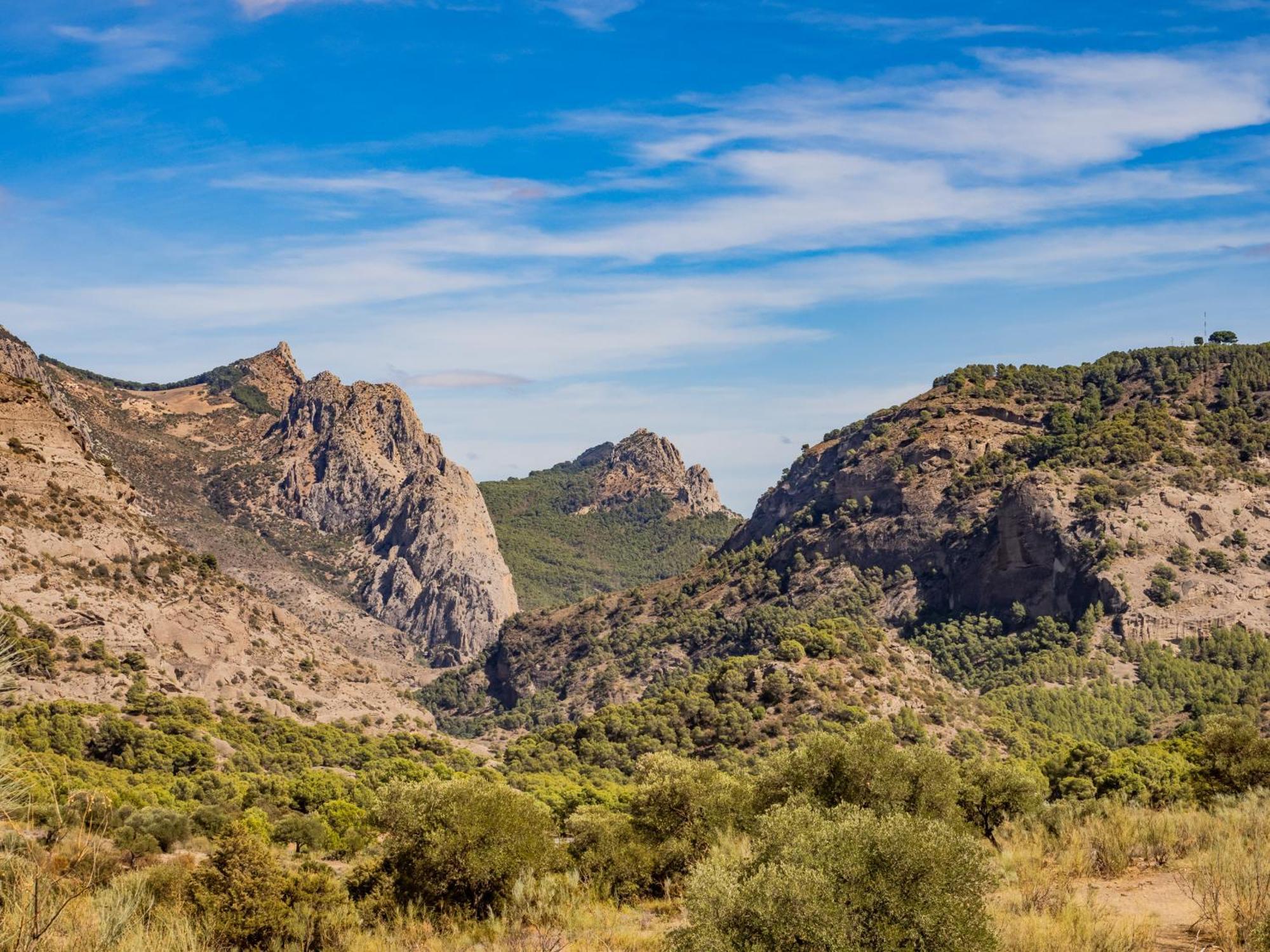 Cubo'S Jose'S Apartment & Caminito Del Rey Ardales Exterior photo